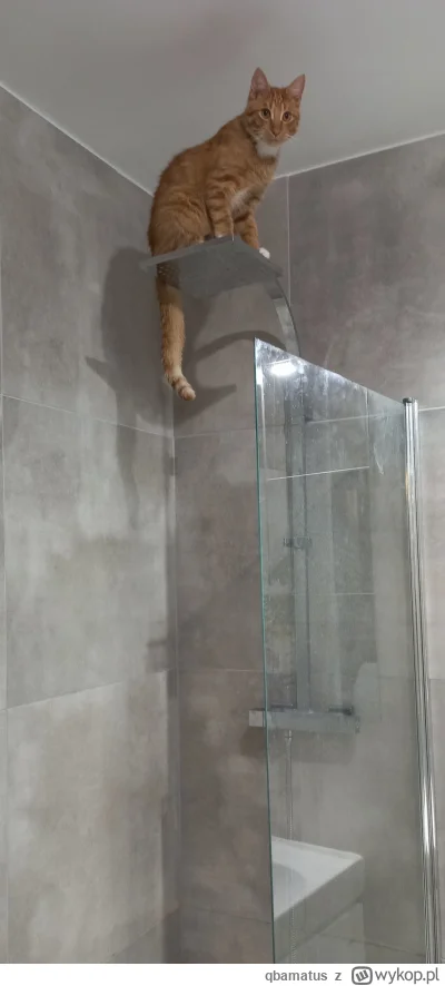 qbamatus - @CzlowiekMagnetowid grali grali xd