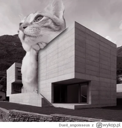 Dueil_angoisseus - #betonowykotek

#kot #kitku #koty #architektura #brutalizm #pokazk...