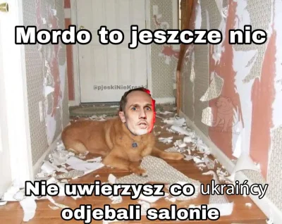 dqdq1 - #polityka #konfederacja #ukraina #wojna #rosja #heheszki