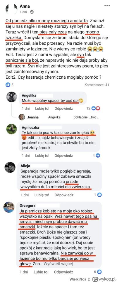 WielkiNos - Kobieta przygarnęła jakiegoś amstaffa. Okazało się, że jest agresywny w s...