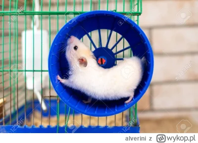 alverini - @wiktor-wkpl: tymczasem w glowie labrygasssaa