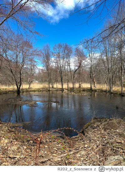 R2D2zSosnowca - @R2D2zSosnowca 4