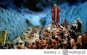 Adolfx2 - #danielmagical Tymczasem wszy we włosach FASczity