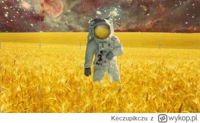 Keczupikczu - Trzeba zrobić jakiś subreddit, bo z tego białkowego p---------a już nic...