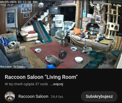 boolProptestingCheatsEnabledtrue - @essillya polecam na dobry wieczur i humor gituwa