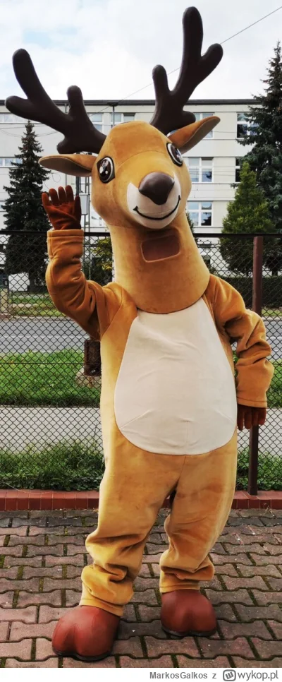 MarkosGalkos - Bym sobie kupil stroj pisowca na przebranie na andrzejki ( ͡° ͜ʖ ͡°)