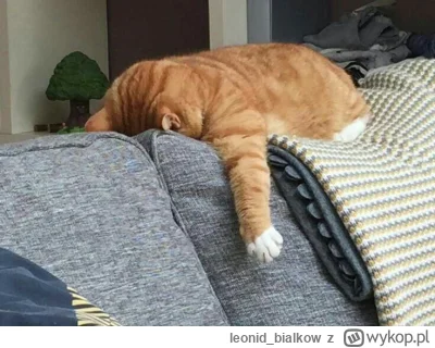 leonid_bialkow - @annlupin: cze dla ciebie