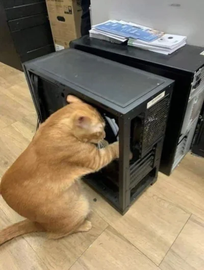 wfyokyga - Kradnę ci ramy