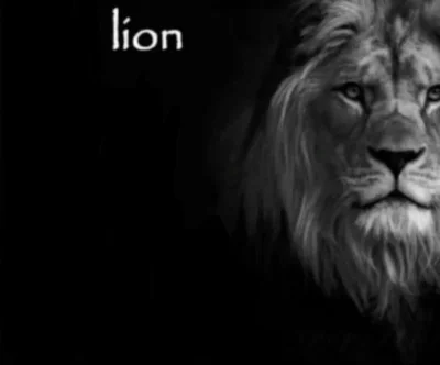 Diamond-kun - lef 
#lew