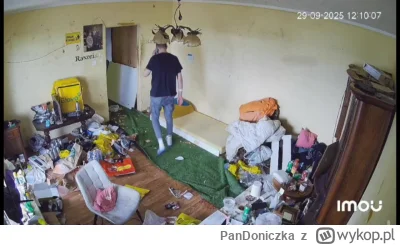 PanDoniczka - Bardzo rzadki widok Majusa chodzącego w trybie pionowym ( ͡° ͜ʖ ͡°)
#da...