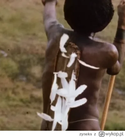 zyneks - Taka ichniejsza husaria¯\(ツ)/¯