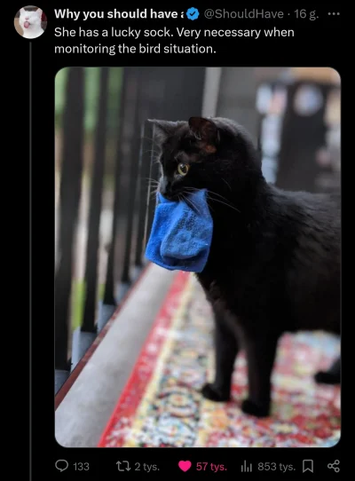 Multipurpose_Labels - 乁(♥ ʖ̯♥)ㄏ #koty