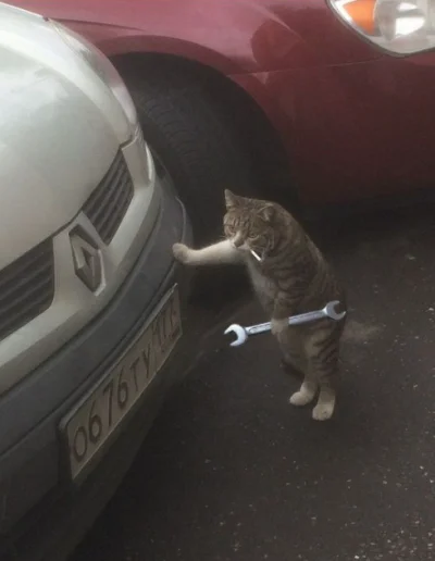 120DniSodomy - @Sudice: daj mu jakieś narzędzia ( ͡º ͜ʖ͡º)