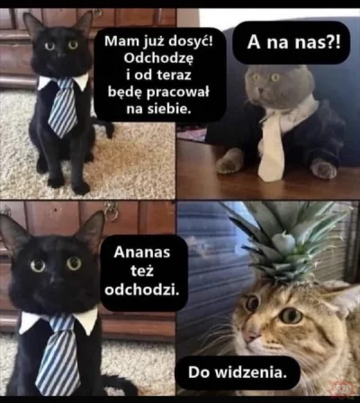 fuurin - @folwgnag94: