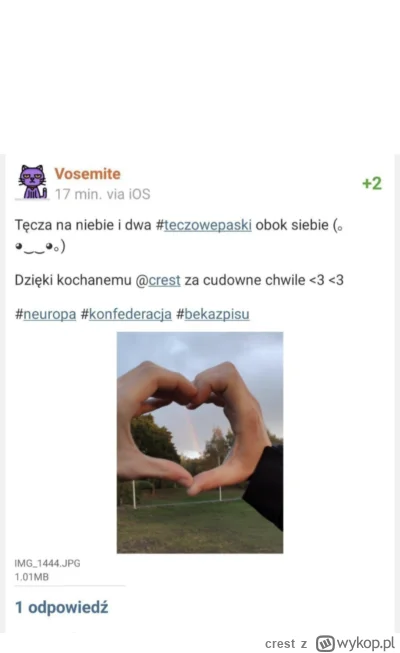 c.....t - @Vosemite typ, który robi o mnie 6 wpisów i woła mnie za każdym razem, robi...