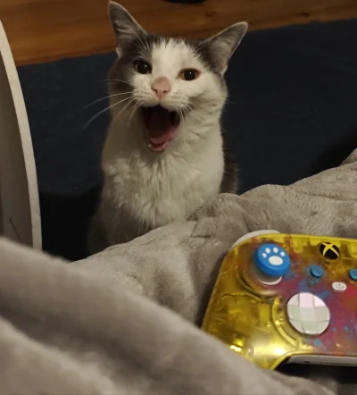 luciditygone - @ItsyBitsyPajonk