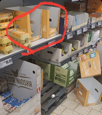 Templar - @aa-aa a to co jest?