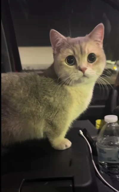 tomwick55 - @Kantorwymianymysliiwrazen