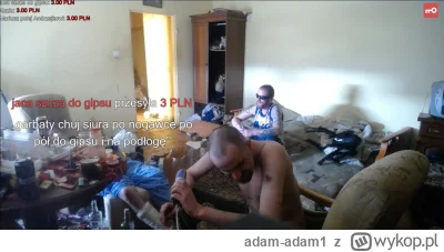 adam-adam1 - #danielmagical Jaca sika do gipsu