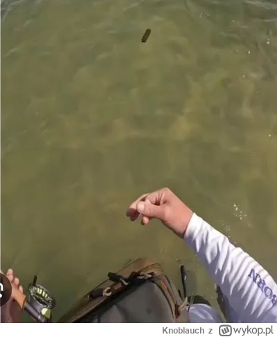 Knoblauch - #raportzpanstwasrodka 
Te węże wodne nie gryzą.