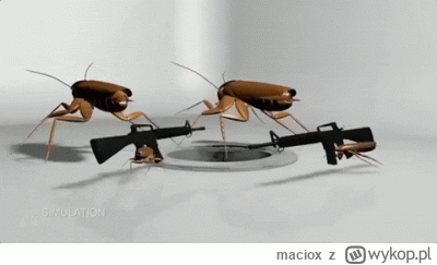 maciox - #danielmagical #chlopakizraszei