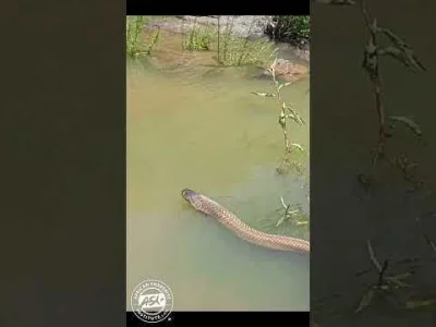 wiesniakzdziuryzabitejdeskami - #raportzpanstwasrodka Gapciu jak byś się zastanawiał ...