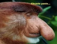 peterr767 - @CrazyZdzich: