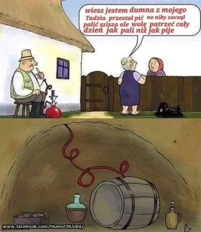 Hakenrojs - #grazynacore #januszcore