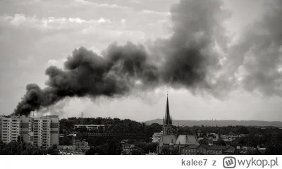 kalee7 - @7050 z gwiazd