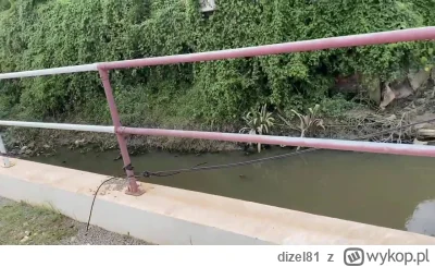 dizel81 - @thebestisyettocome: