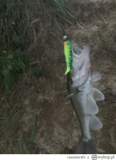 rastafari85 - @fi9o Nie jest aż tak źle ( ͡~ ͜ʖ ͡°)