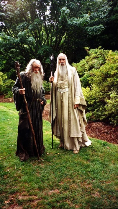 wfyokyga - Niby Gandalf i Saruman się nie lubią a tutaj se spacerują razem, to jak to...