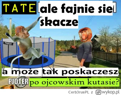 Cerb3rusPL - @Urodzony_Kleszczem: Bo jo syniek nie owijam w bowełnę i jezdem bezpośre...