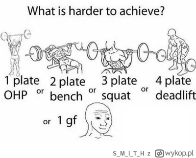 SMITH - >@massh:  gymflacji 

@Catmmando: 2plates dalej aktualne, tylko teraz 1pl = 2...