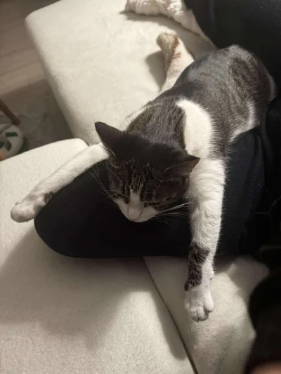 b0dyload - @b0dyload: padłam!