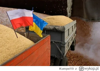 Kumpel19 - Polska jest gotowa do negocjacji z Ukrainą w sprawie zbóż – powiedział Min...