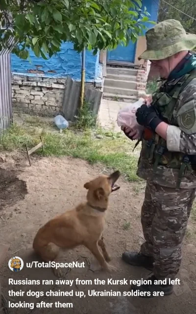 pogop - Ruskie z obwodu kurskiego zostawiają psy na łańcuchach i uciekają. Ukraińcy j...