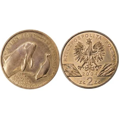 wash-and-go - jutro lecę do lydla i kręcę aferkie , wyłożę na taśmę piwo zero bez dow...