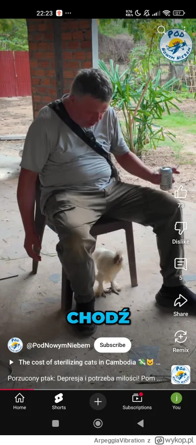 ArpeggiaVibration - Tak wygląda "wolność" Szanowni Państwo ( ͡° ͜ʖ ͡°) Nie ma lepszeg...