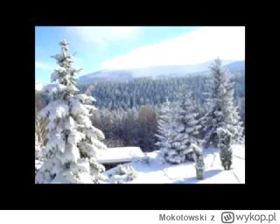 Mokotowski - @zawisztheblack coś jak kupno małego domku w górach #pdk