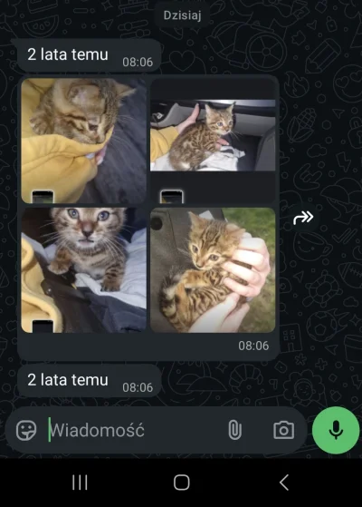 Lujdziarski - #pokazkota #dziarskikacperek P------a został znaleziony równe dwa lata ...