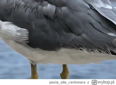 pastaallacarbonara - @Miziobot: dziwne te foty, strasznie rozmyte na powiekszeniu.