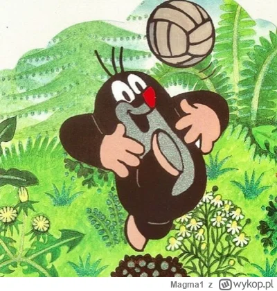 Magma1 - Nigdy nie pojmę dlaczego Polacy tak bardzo kochają piłkę nożną, w której maj...