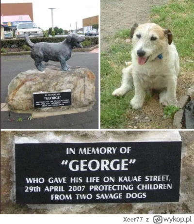 Xeer77 - To jest George. George zginął w 2007 roku podczas ratowania dzieci przed dwo...