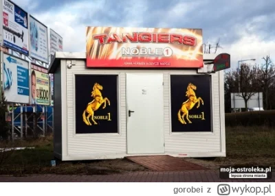 gorobei - >czy apki randkowe są coś warte w 2025? Chciałbym znaleźć przyszłą żonę

@m...