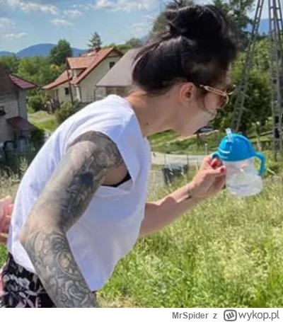 MrSpider - Wystarczy, że coś wystaje deko przypomina wiadomo co chłopskie i Myszka ty...