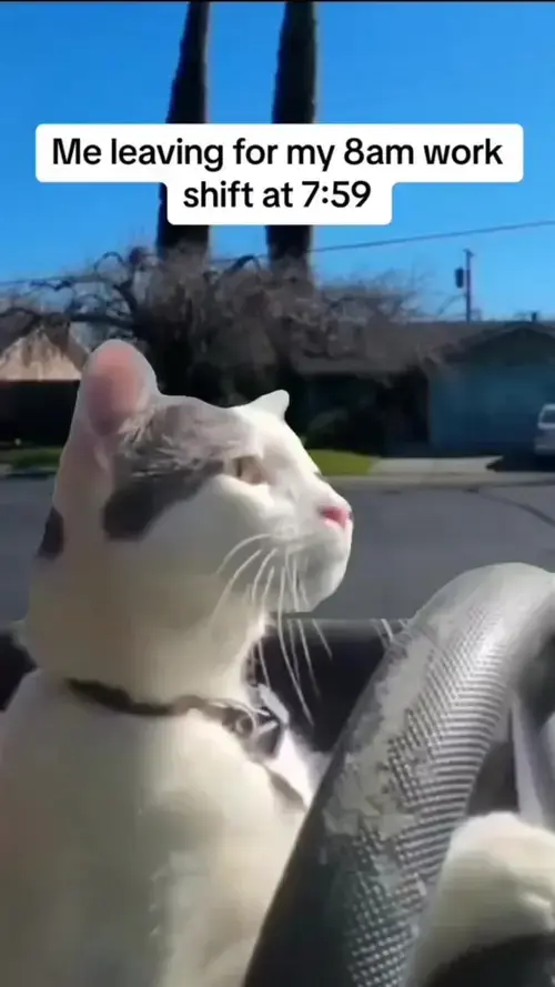 czarnoibialo - @onepnch zachowujesz powage ??