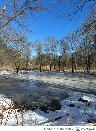 R2D2zSosnowca - @R2D2zSosnowca lutowe