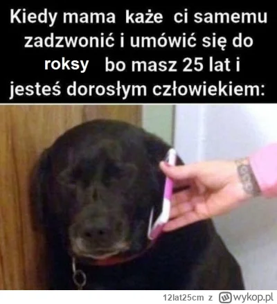 12lat25cm - #przegryw #roksa #divyzwykopem #heheszki #humorobrazkowy