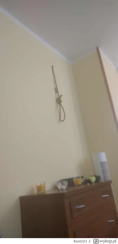 Xeni323 - #gielda ja już gotowy